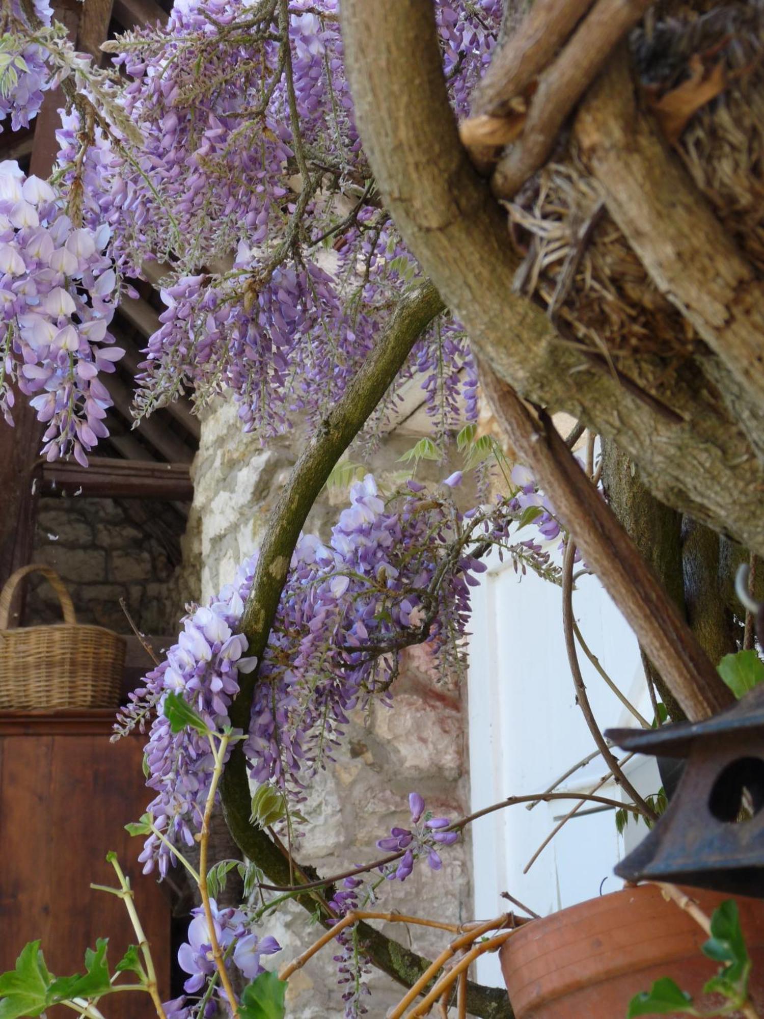 La Maison De Madame Baudy Giverny Exterior foto